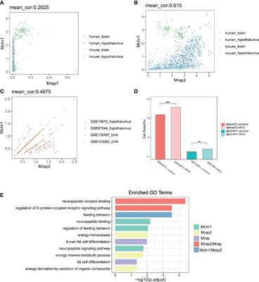 Determination of the Interaction and Pharmacological Modulation of MCHR1 Signaling by the C-Terminus of MRAP2 Protein